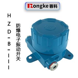 防爆振动开关HZD-B-III