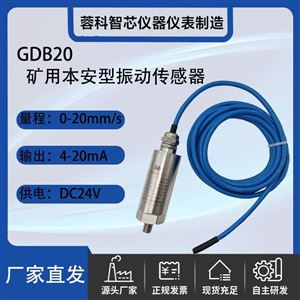 RK/GBC20 矿用本安型振动传感器