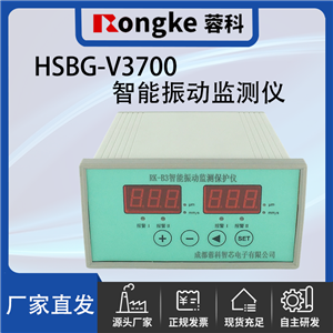 HSBG-V3700/RK振动检测表