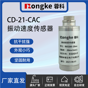 CD-21-CAC振动传感器厂家