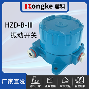 HZD-B-Ⅲ振动开关/振动检测表